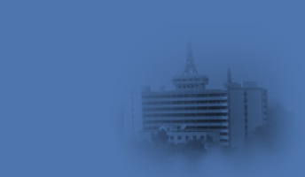 3377体育网官网