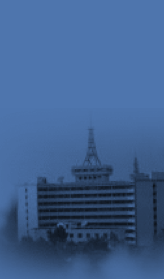 3377体育网官网
