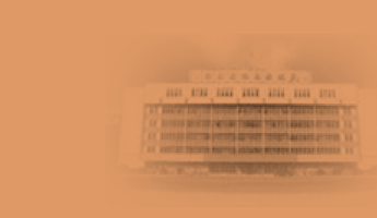 3377体育网官网