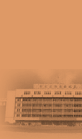 3377体育网官网